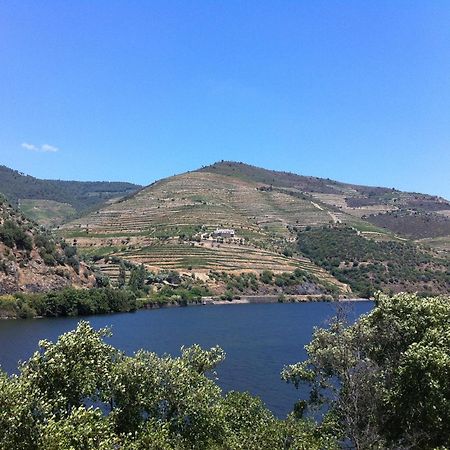 Quinta Da Marka Covas do Douro Exterior foto