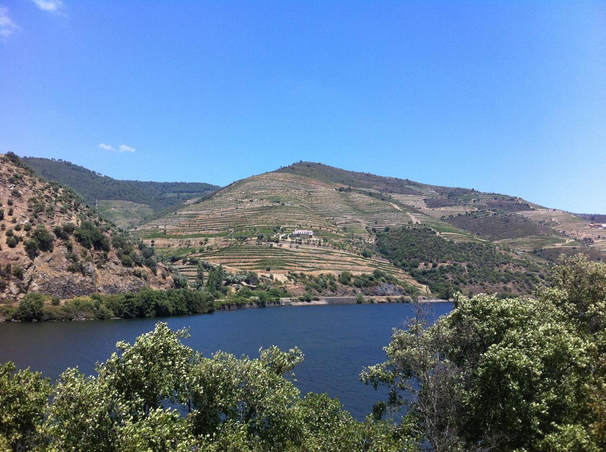 Quinta Da Marka Covas do Douro Exterior foto